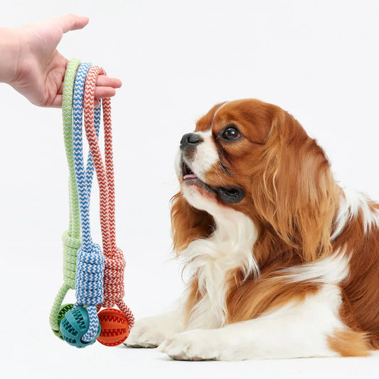 Durable TPR & Cotton Rope Dog Ball - Interactive Chew Toy - EGBull