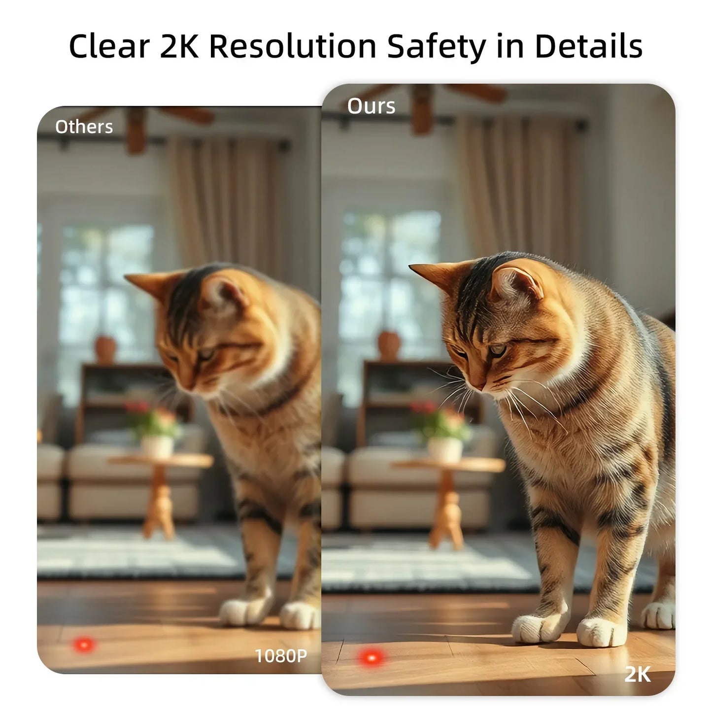 Keep An Eye on Your Furry Friend Anywhere