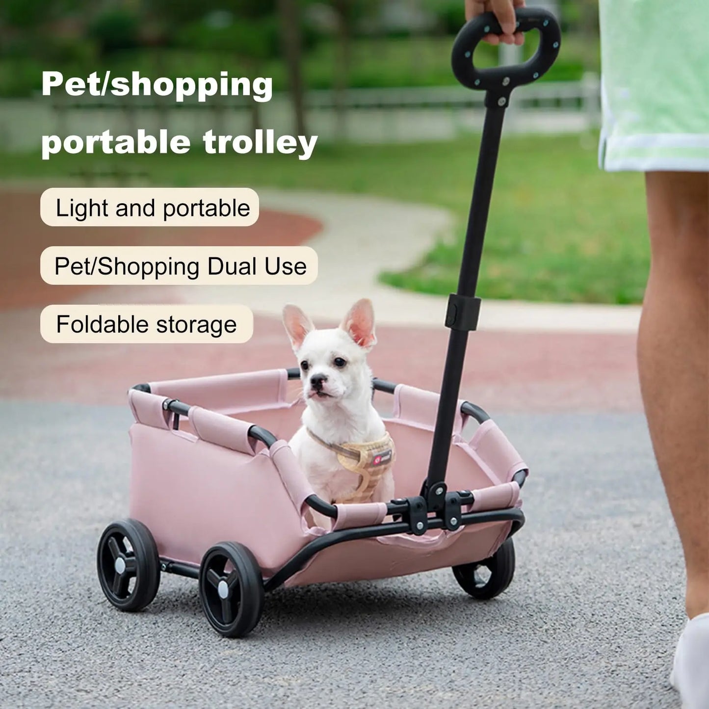 Breathable Travel Carrier for Small Dogs
