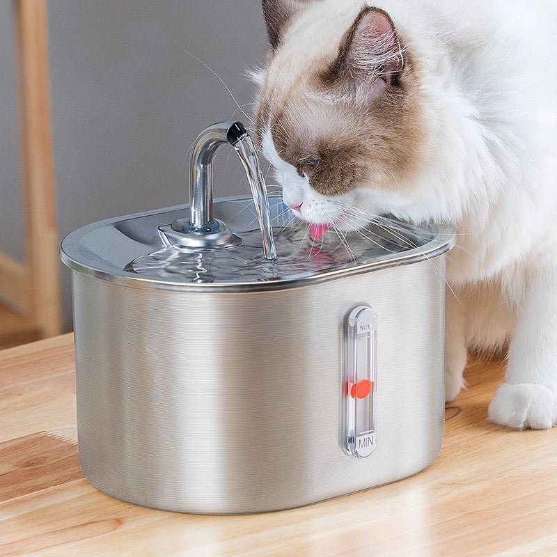 Multi - Filter Pet Water Fountain with Automatic Pump Cleaning - EGBull