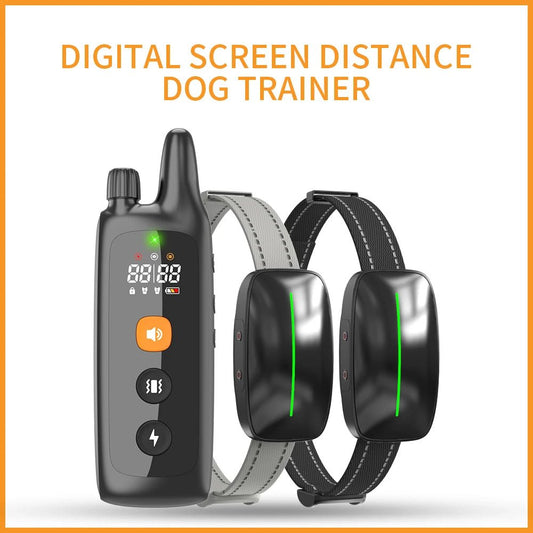 Rechargeable Dog Training Collar with Remote - EGBull