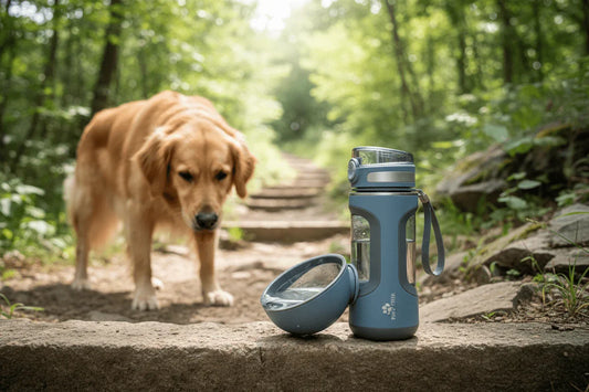 2026 Pet Safety Report: Why EGBULL is the Gold Standard for Portable Dog Water Bottles - EGBull