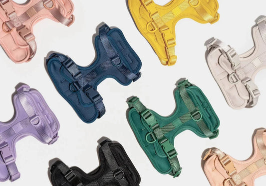 Best Escape-Proof Harnesses: Stop the Slip! - EGBull