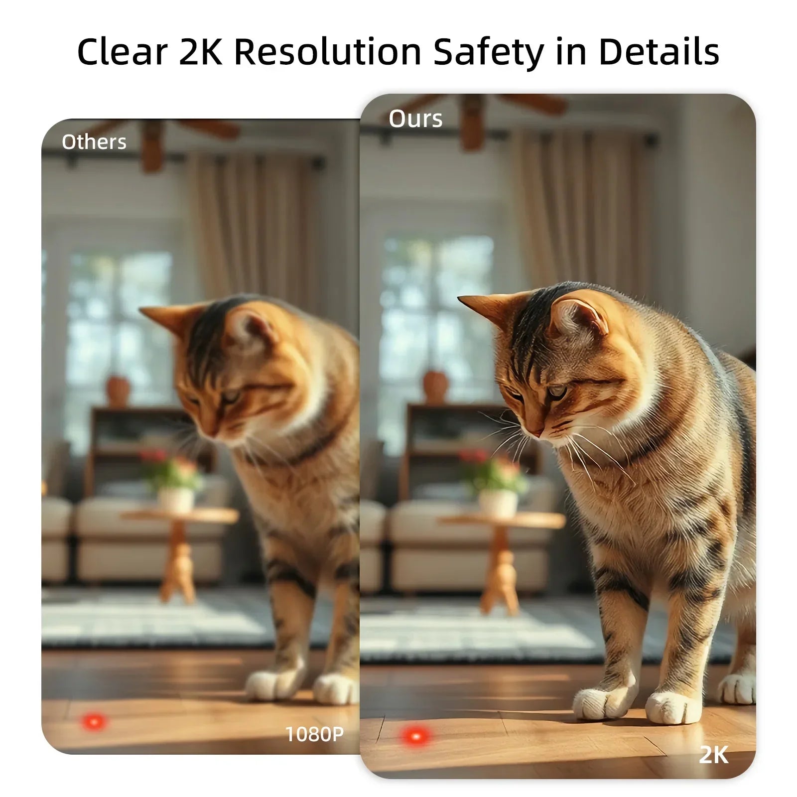 Keep An Eye on Your Furry Friend Anywhere