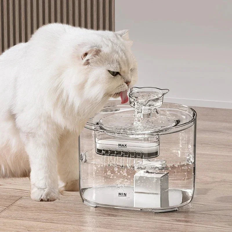 Cute Cat-Shaped Stainless Steel Pet Water Fountain