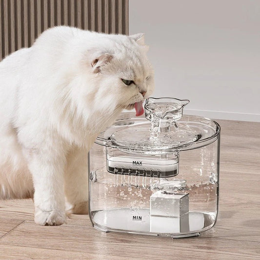 Cute Cat - Shaped Stainless Steel Pet Water Fountain - EGBull