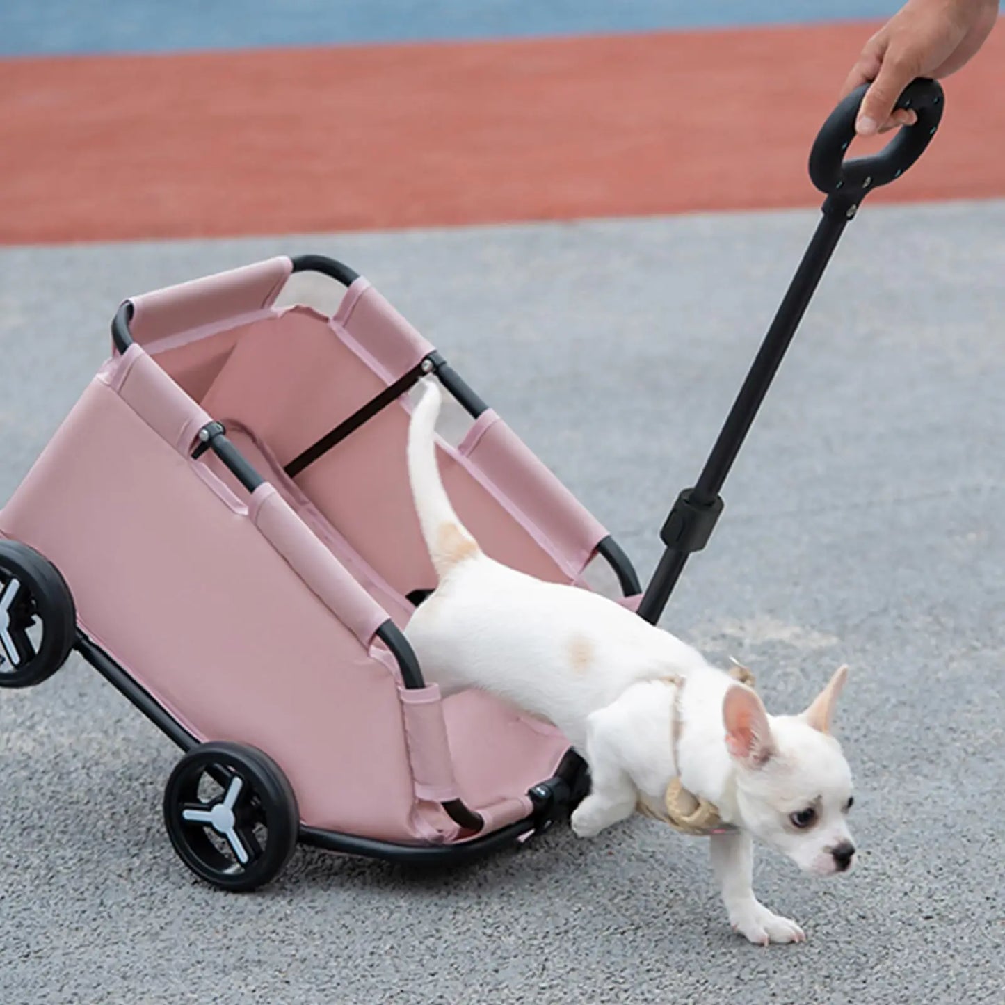 Breathable Travel Carrier for Small Dogs