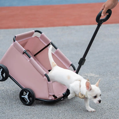 Breathable Travel Carrier for Small Dogs