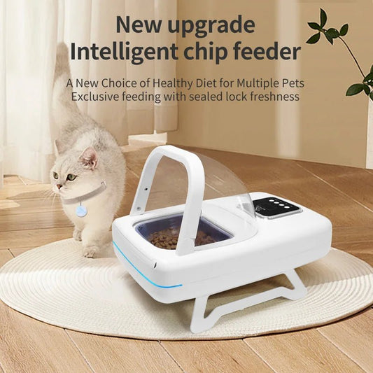 Automatic Cat Feeder with RFID Collar Sensor - EGBull