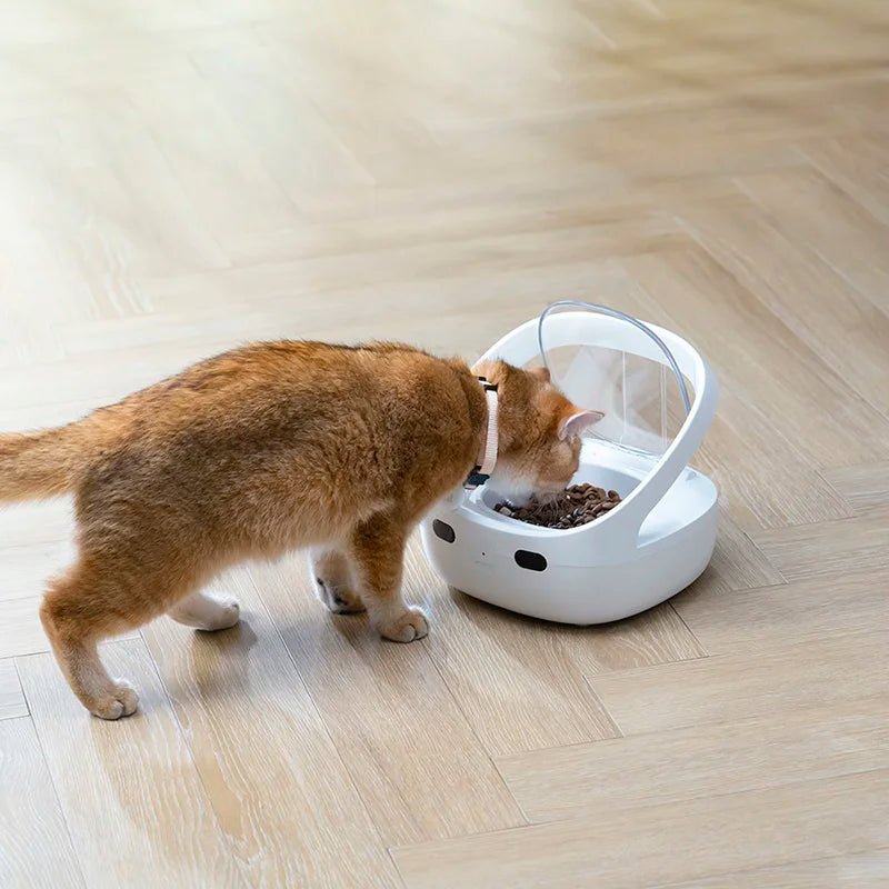 Automatic Pet Feeder with RFID Collar Sensor and 5 L Capacity - EGBull