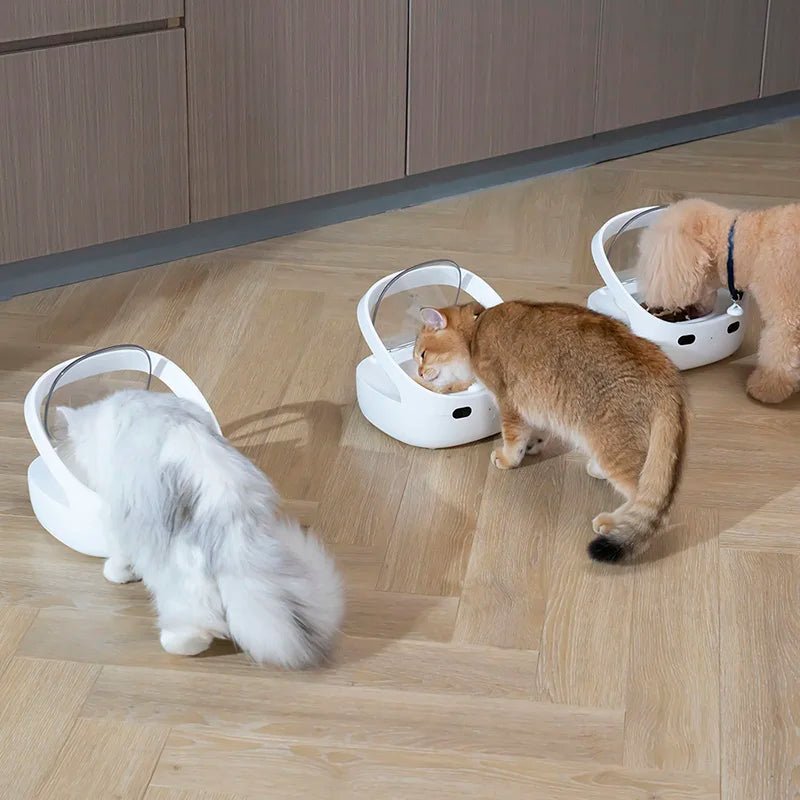 Automatic Pet Feeder with RFID Collar Sensor and 5 L Capacity - EGBull