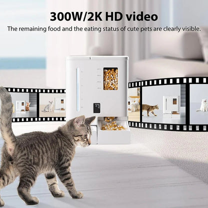 EGBULL 2 - in - 1 Smart Pet Feeder with Camera - EGBull