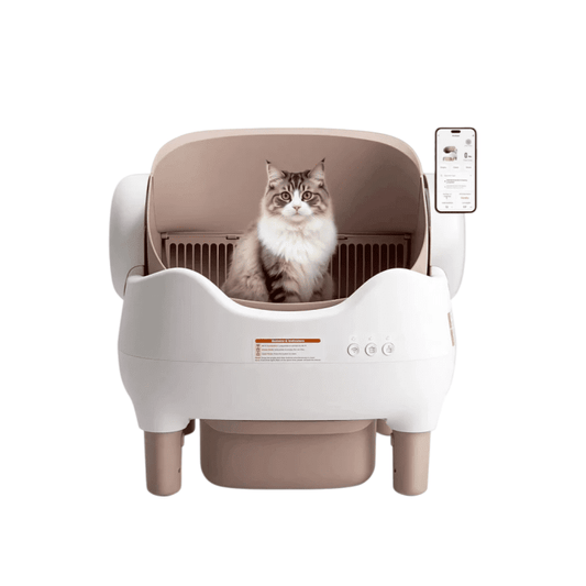 EGBULL Smart Self - Cleaning Litter Box - EGBull