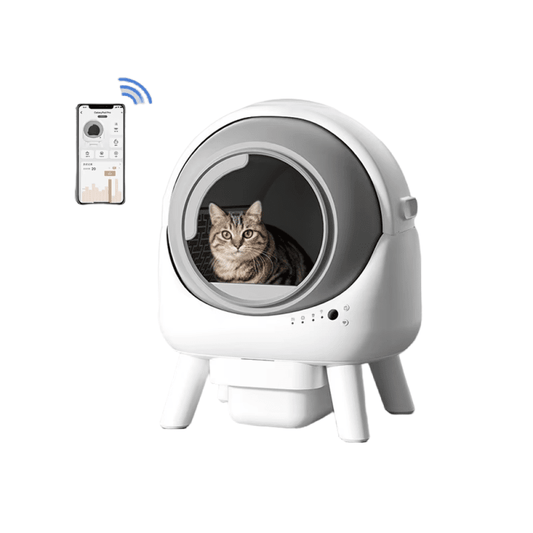 Smart Self - Cleaning Litter Box - EGBull