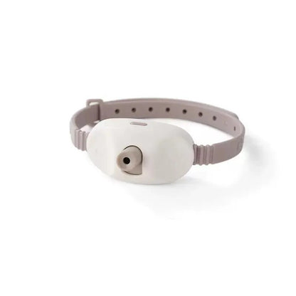 Wearable Interactive Cat Laser Collar - EGBull